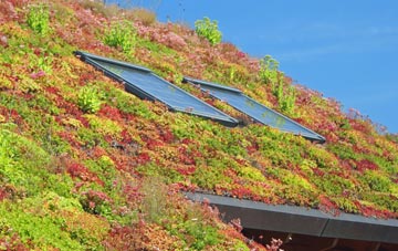 Hawthorpe living roof systems